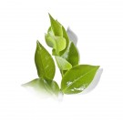 Breath Freshener HelloCig E-Liquid 60ml