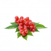 Treeberry HelloCig E-Liquid 60ml