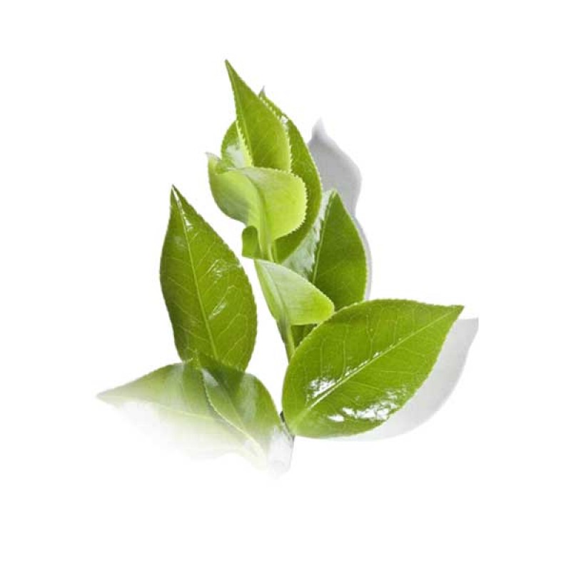 Breath Freshener HelloCig E-Liquid 60ml