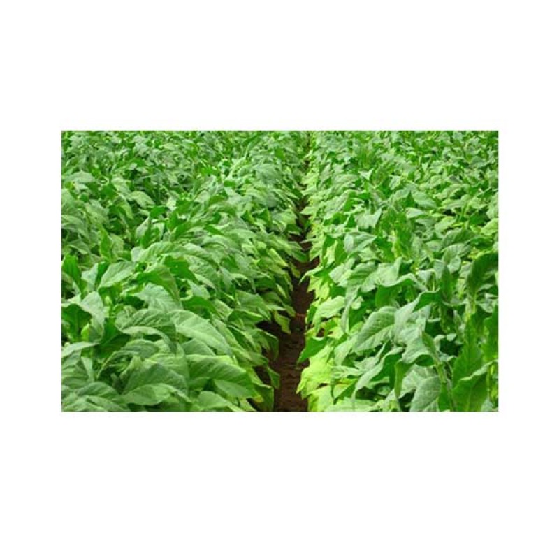 Flue-Cured HelloCig E-Liquid 60ml
