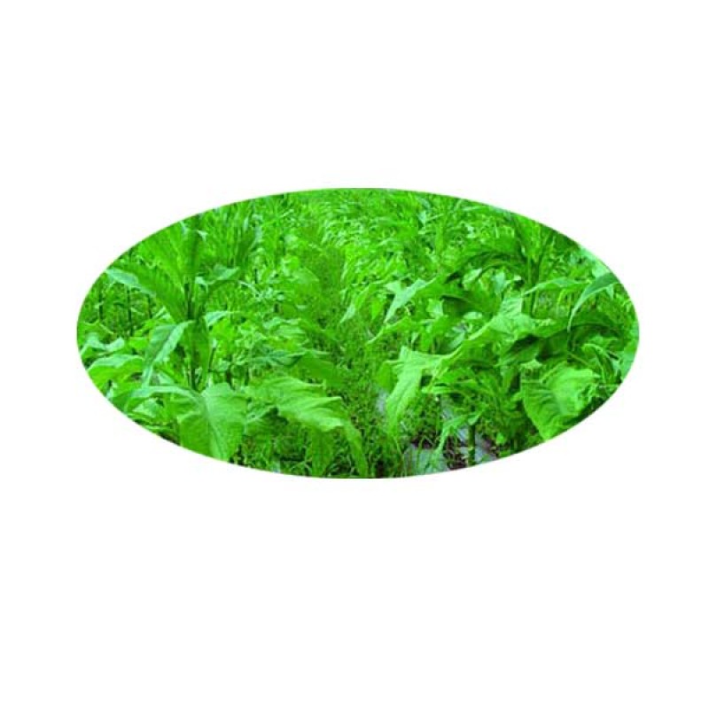 Blended HelloCig E-Liquid 60ml